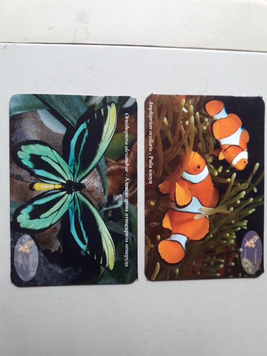 Магнитни стикери