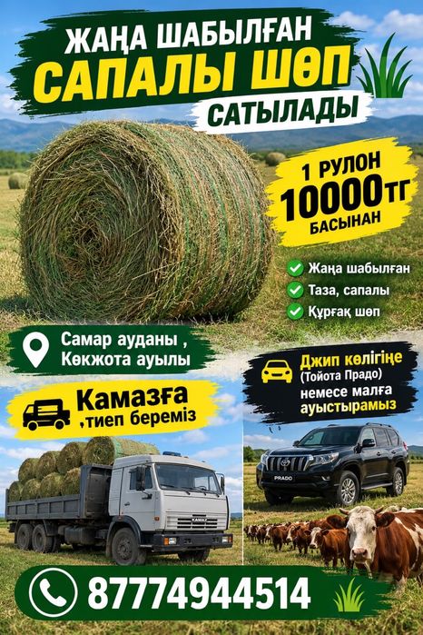 Продам сена 2026
