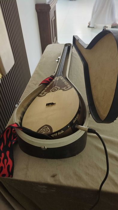 Электрондық кәсіби домбыра