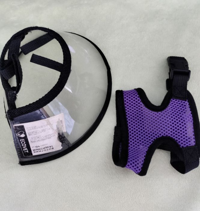 Продам лечебный воротник для животных, новый, недорого