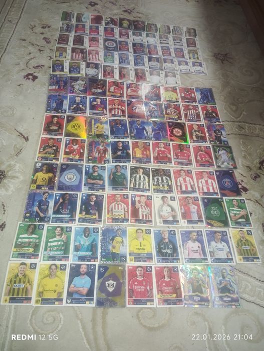 Panini superliga României și UEFA champions League