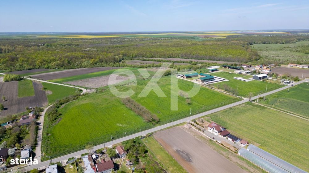 Black Angus Farm with authorized Slaughterhouse