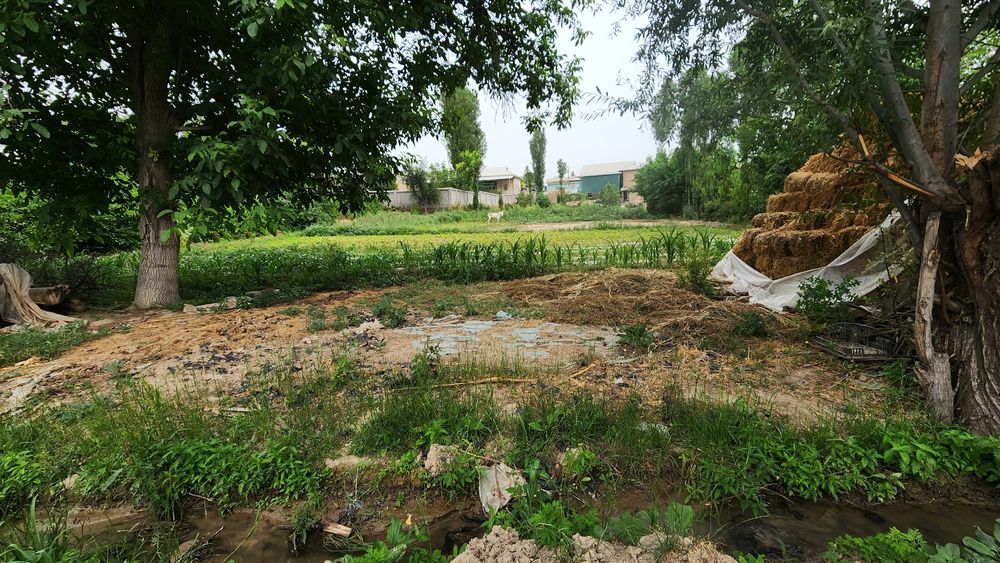 Yangiyolda yer sotiladi