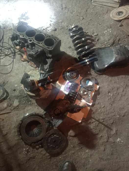 продам 2 галовка Мона