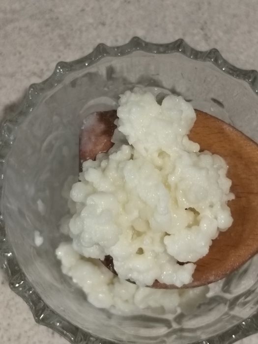 Vând doua  porții de ciuperca de kefir potrivită pentru 1,5 l lapte