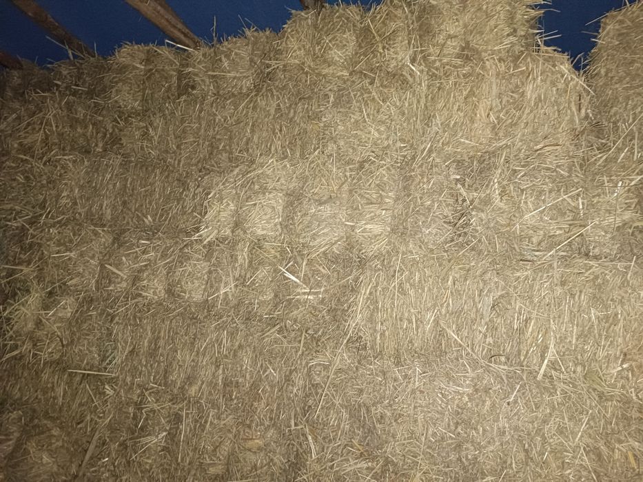 Қамиш пресс сотилади