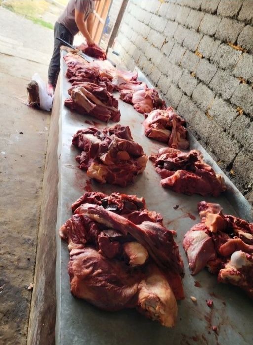 Жілік согым 2700тг жылкы еті