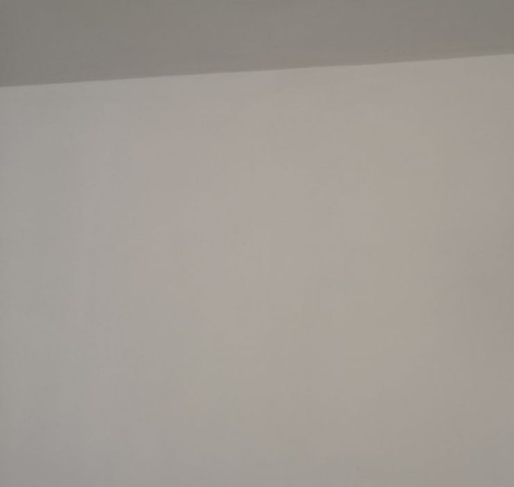 Vopsea Acoperire Pete Pereti după inundație