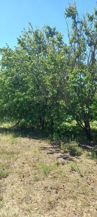 Продаётся дача на Новеньком