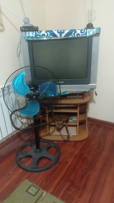 Домашние гуси и т.д