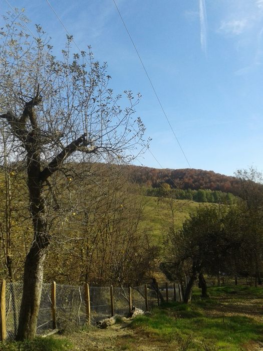 Vand Teren intravilan zona Varfuri, Dambovita