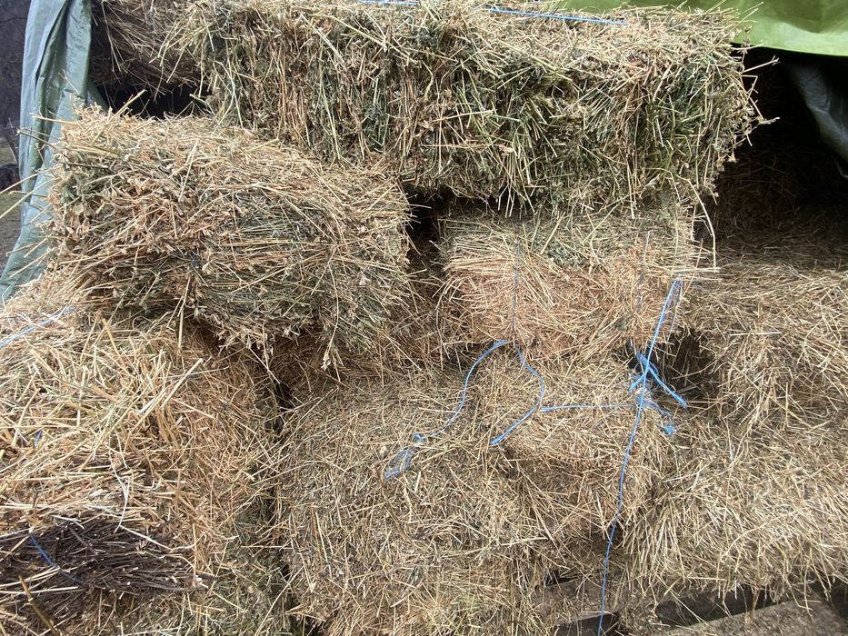 Baloti lucerna de vanzare!