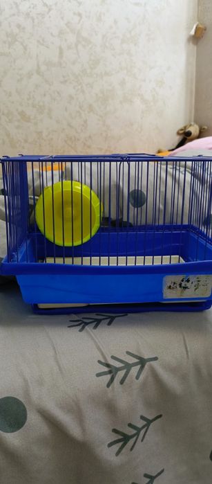 Клетки для хомяков