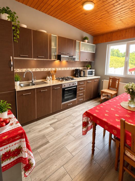 Cazare Măcin – Vila Amalia | 200 lei/cameră | Baie proprie |