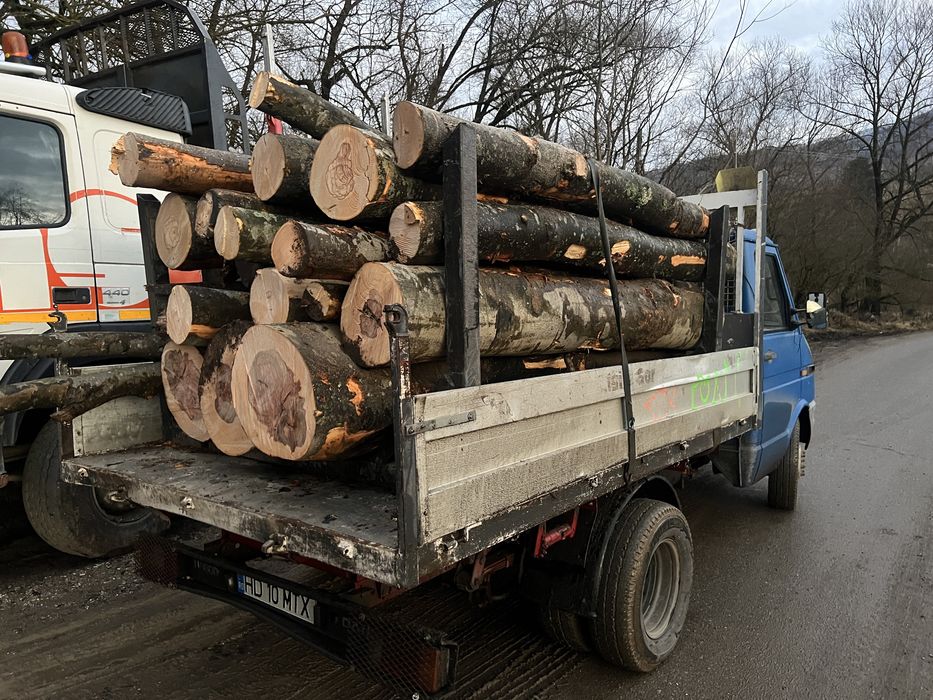 Lemn de foc fag la 3 metri      7 steri