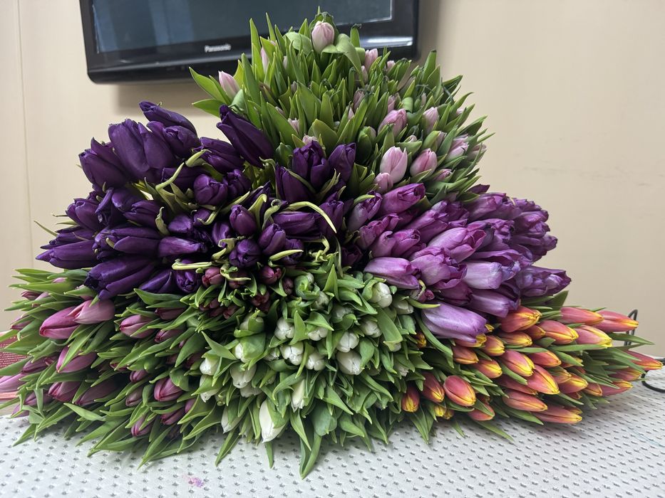 Продаю тюльпаны.