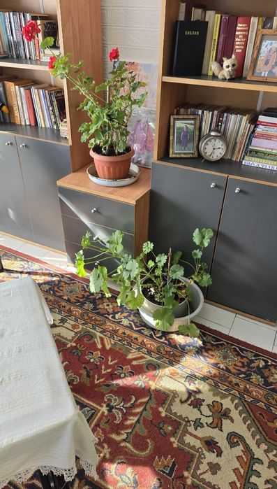 Продава се Двустаен апартамент в Ихтиман - 65 кв.м за 1154 €/кв.м - Снимка #10