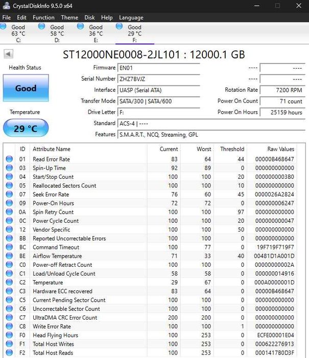 2 x HDD Seagate IronWolf Pro 12TB
