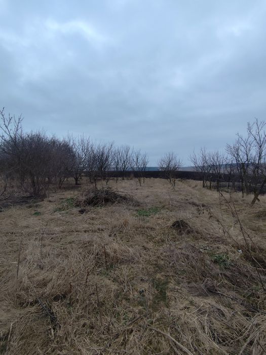 Teren intravilan și casa bătrânească cu gradina