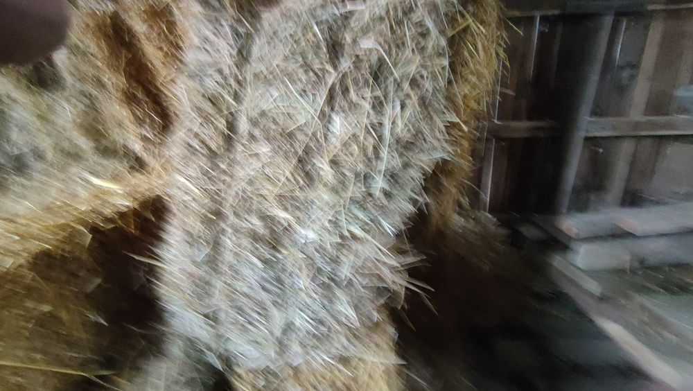 Fân fân fân fân calitate bună