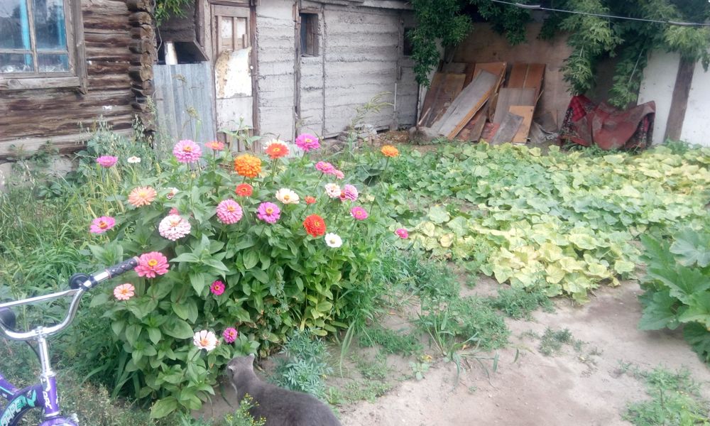 Продам отдельностоящий дом