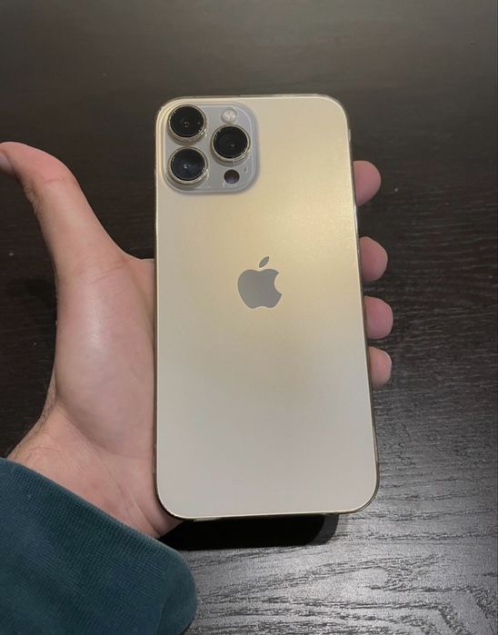 Iphone 13 Pro Max 256gb