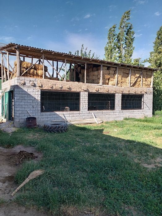 Срочно Уй сотилади