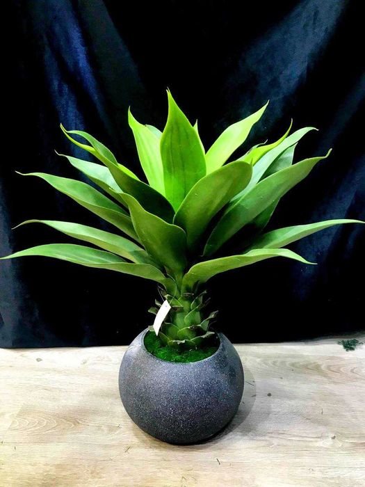 Дерево в горшке 65см — офисный стиль, лучшая цена