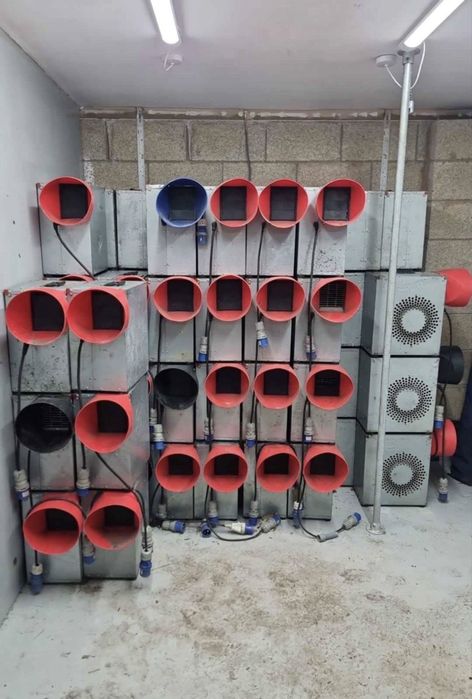 Suflante pompe tobogane gonflabile gibbons