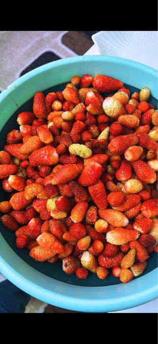 Продам дачу ! Продам дачу очень в тихом и красивом месте