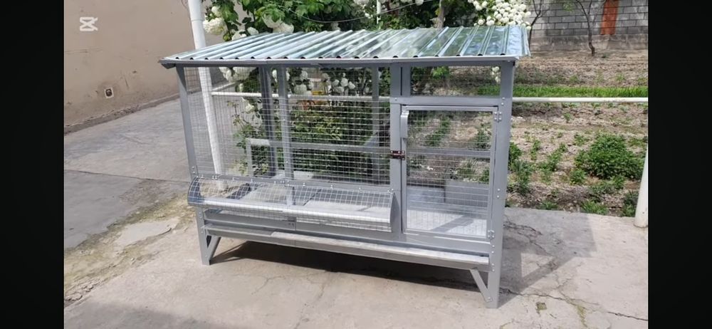 Куй ва Товуқ катак