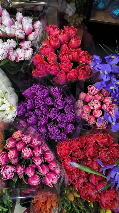 Тюльпаны к 8 марта