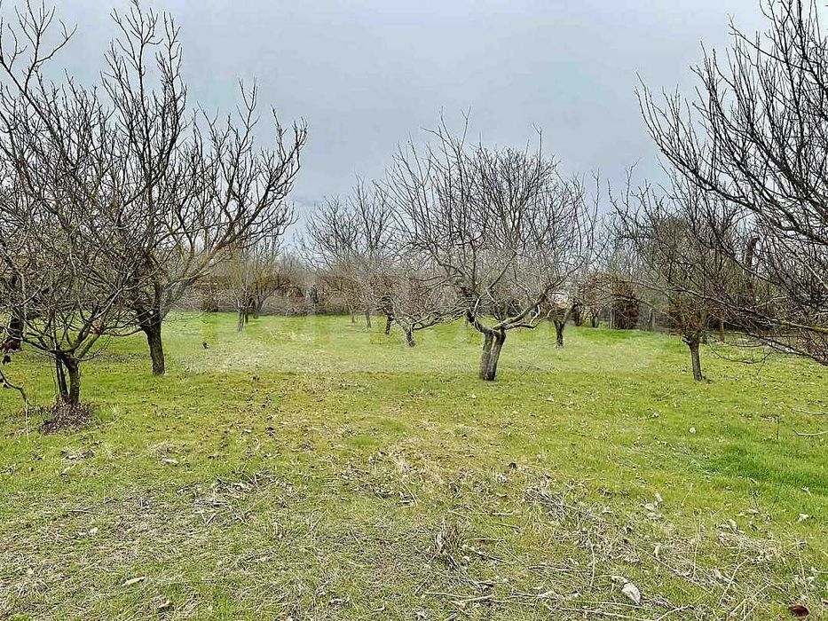 Продава се Къща в с. Преспа, Област Добрич - 80 кв.м за 344 €/кв.м - Снимка #3