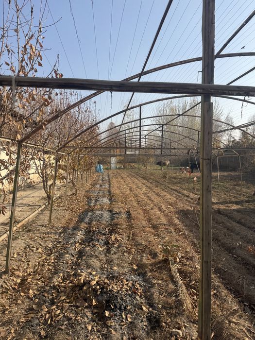 Parnik sotiladi Andijon marhamat