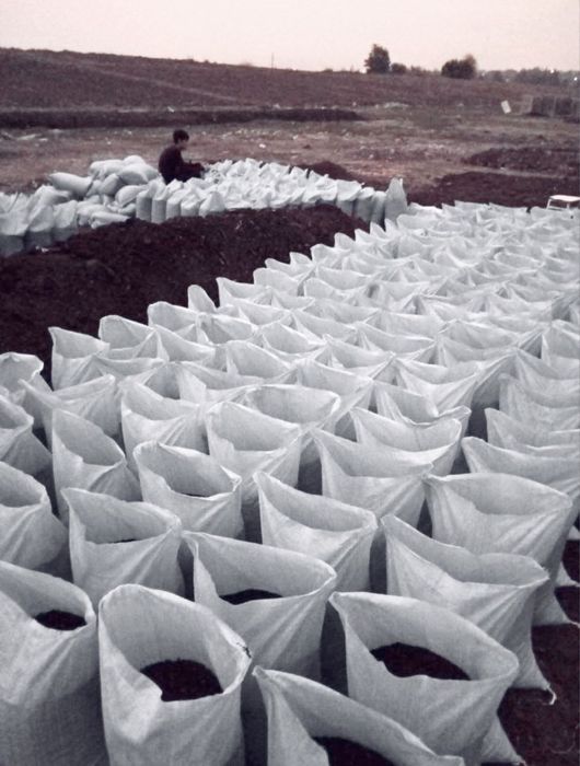 Biogumus/ Биогумус/ Оптом