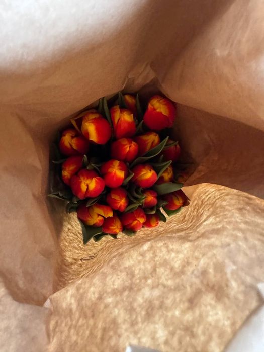 Продам тюльпаны оптом или Розничный