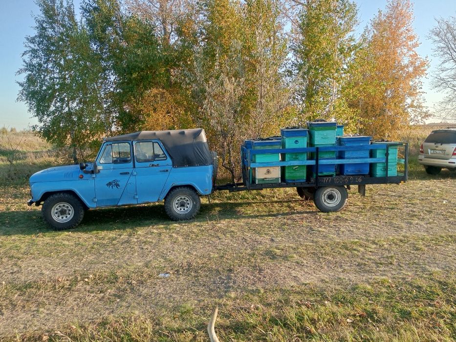 Пасека. Продам пасеку.