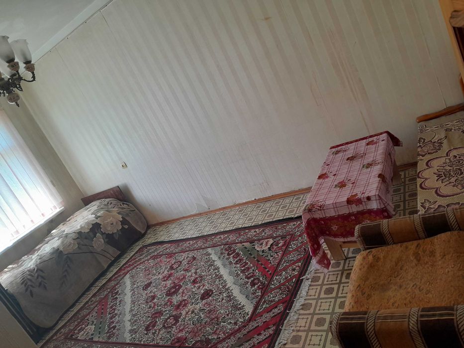 Qoraqamish 1/3 qizlarga sherikka 800  ming