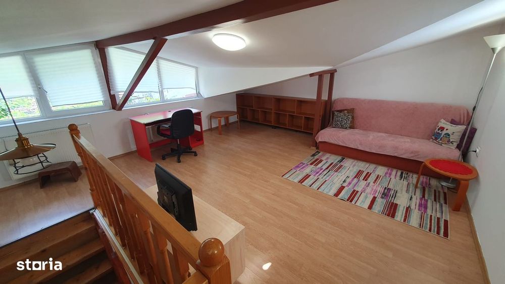 Drumul Taberei, Raul Doamnei