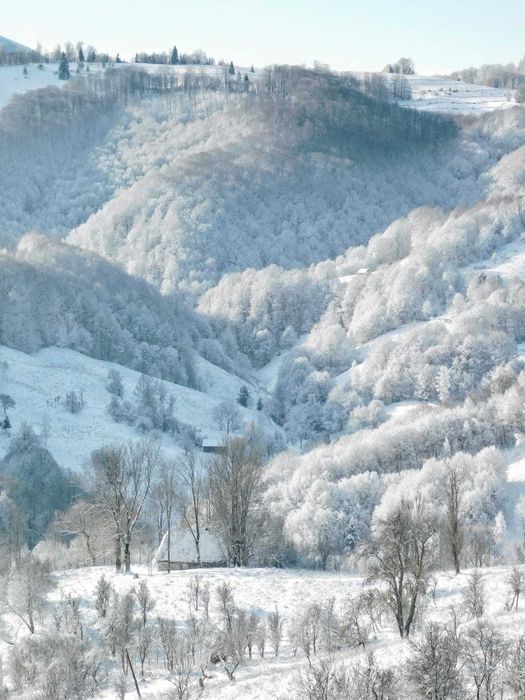 Teren premium 28.000 mp, 20.000 mp intravilan, langa Manastirea Poiana Sohodol - ideal investitie turistica