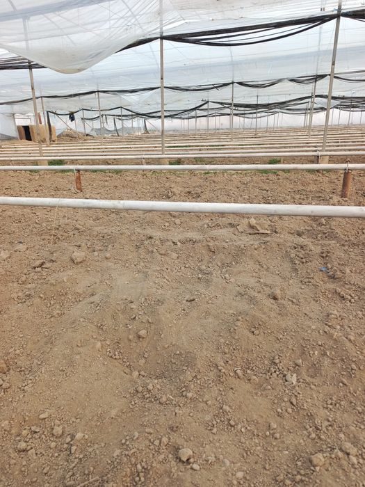 26sotıklı hovlı sotıladı sırochna