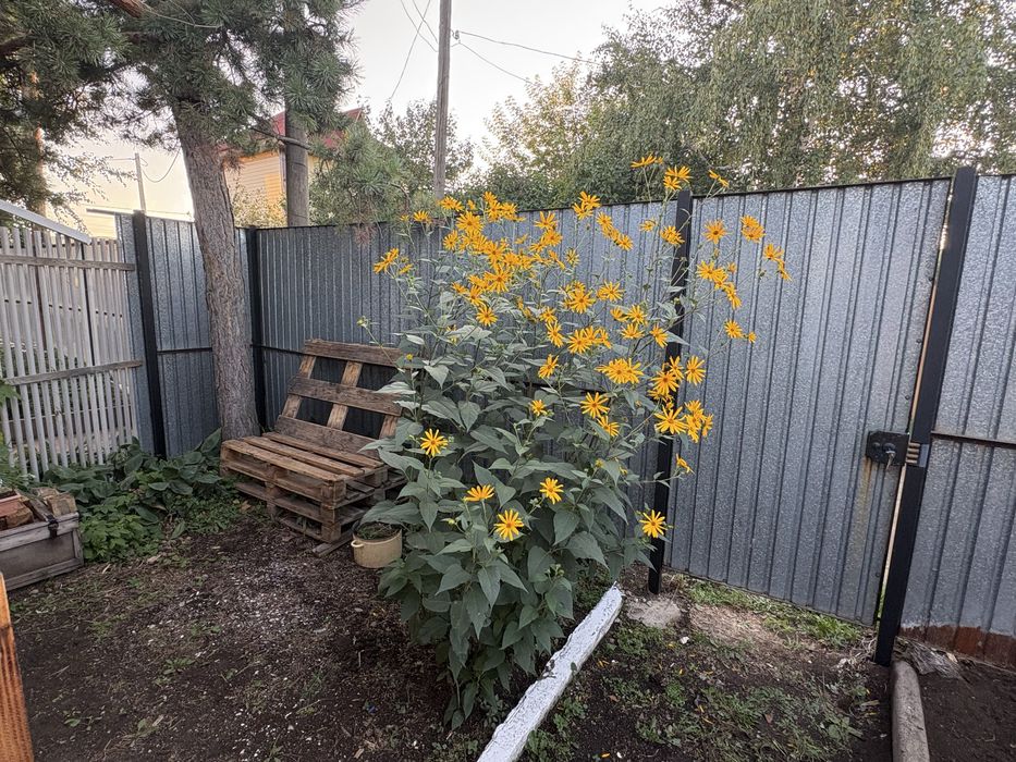 Продам дачу ! 1 краснаярские дачи .