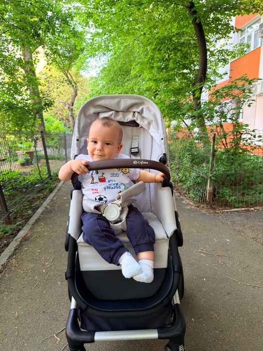 Cybex EOS Lux 2 in 1