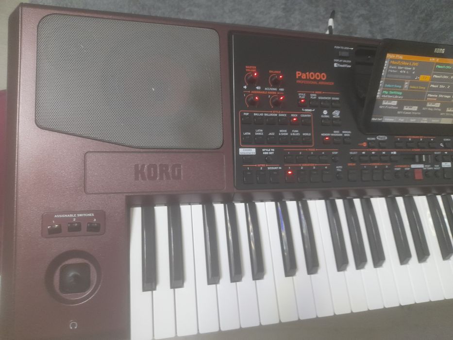 Корг 1000 професионал