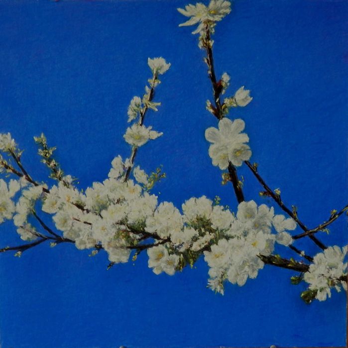 Клон на цъфтяща череша. 2026. Картон. Пастел. 60x60 см.