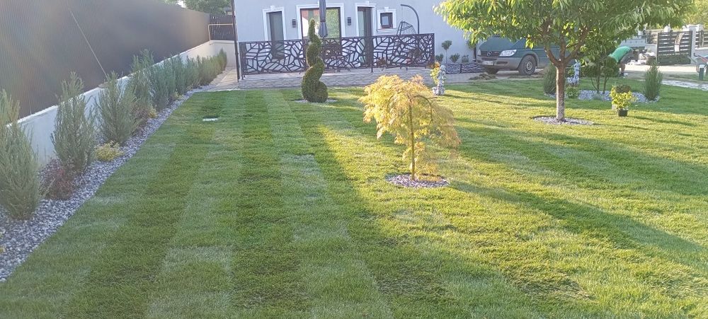 Toaletare,amenajare și întreținere spatii verzi