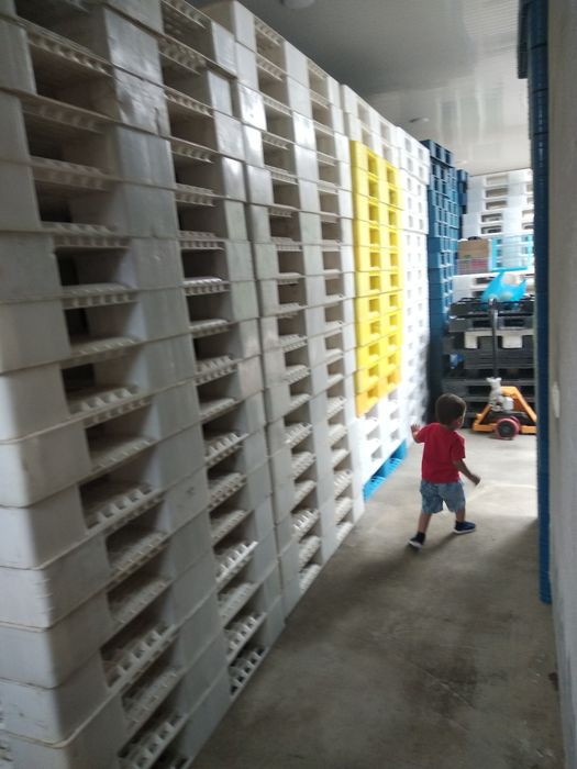 Паддон поддон сотамиз