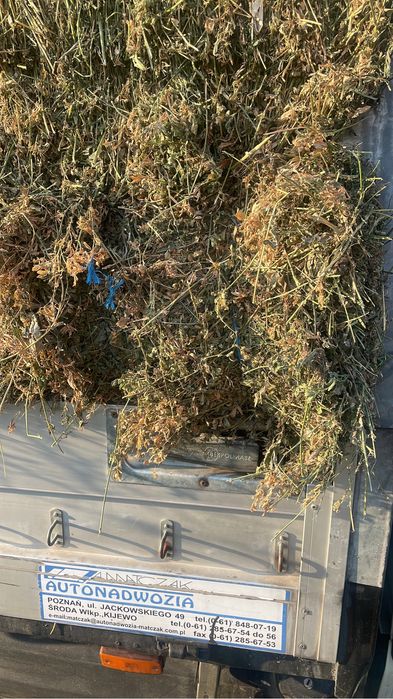 Baloti Lucerna 2025 OFER TRANSPORT