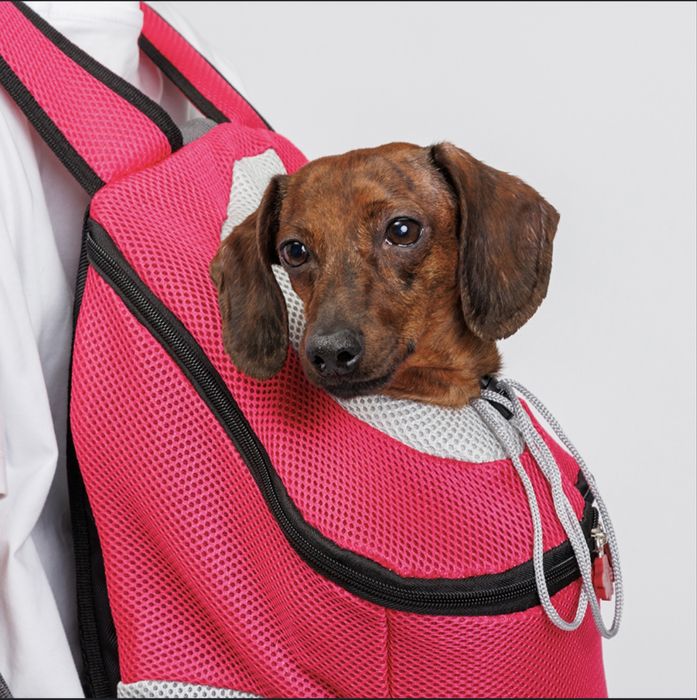 Рюкзак для переноски животных