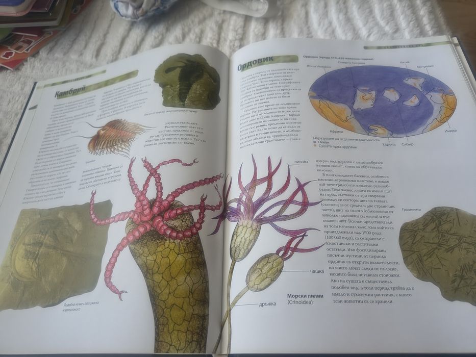 Лот 2 книги за Динозаврите